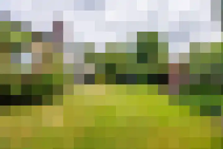 Wildbaan 9 Leersum thumbnail 31