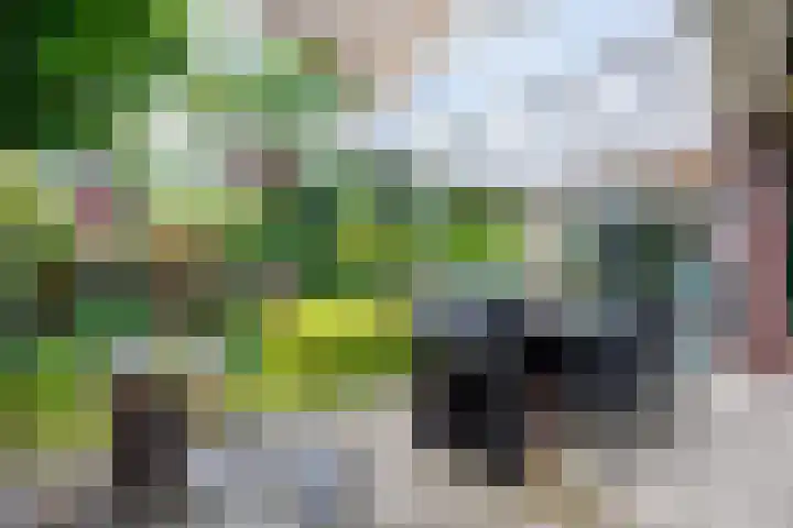 Wildbaan 9 Leersum thumbnail 32
