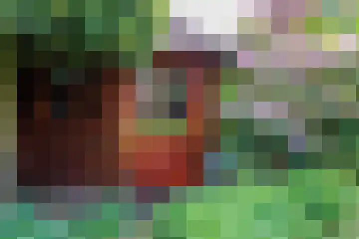 Wildbaan 9 Leersum thumbnail 33