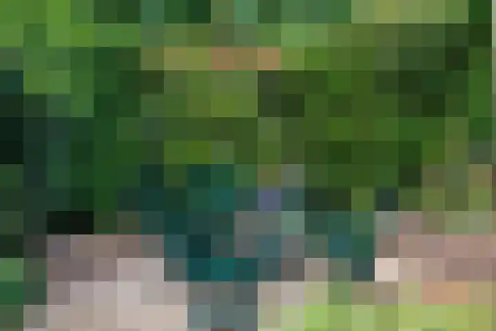 Wildbaan 9 Leersum thumbnail 34