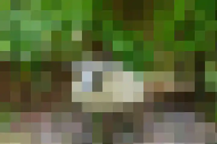 Wildbaan 9 Leersum thumbnail 36