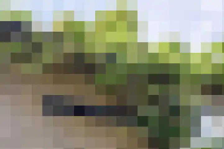 Wildbaan 9 Leersum thumbnail 39