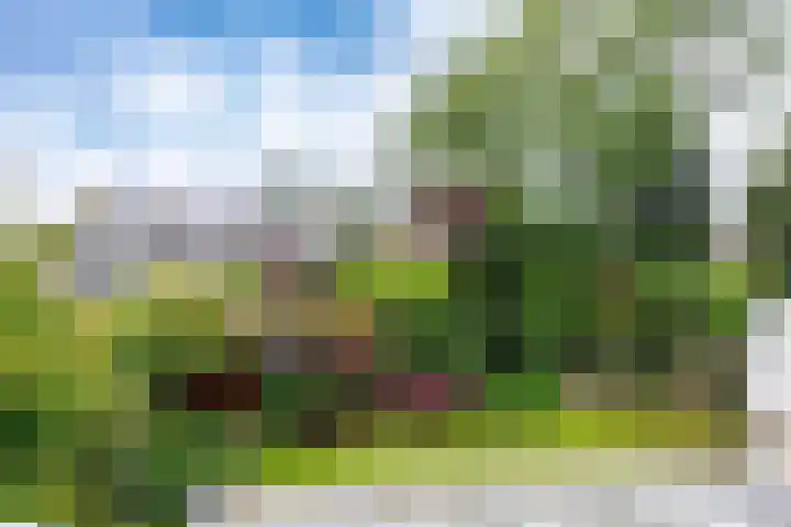 Wildbaan 9 Leersum thumbnail 47