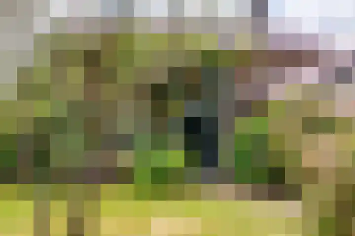 Wildbaan 9 Leersum thumbnail 5