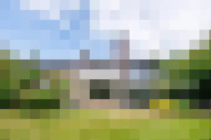 Wildbaan 9 Leersum thumbnail 61