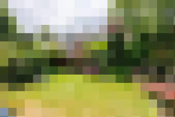 Wildbaan 9 Leersum thumbnail 62