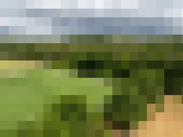 Wildbaan 9 Leersum thumbnail 63