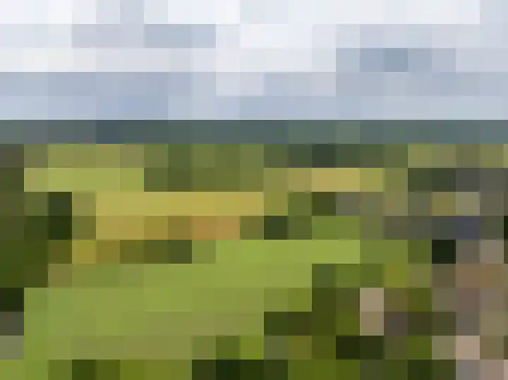 Wildbaan 9 Leersum thumbnail 64