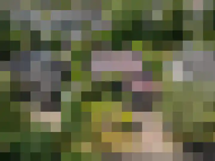 Wildbaan 9 Leersum thumbnail 65