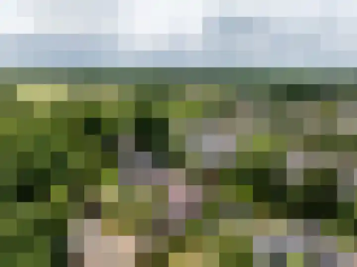 Wildbaan 9 Leersum thumbnail 66