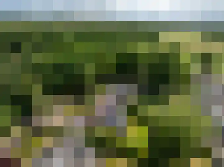 Wildbaan 9 Leersum thumbnail 67