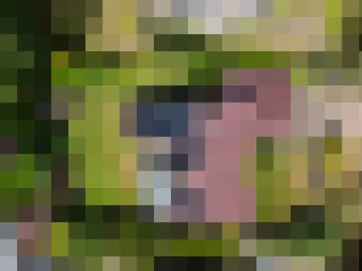 Wildbaan 9 Leersum thumbnail 69