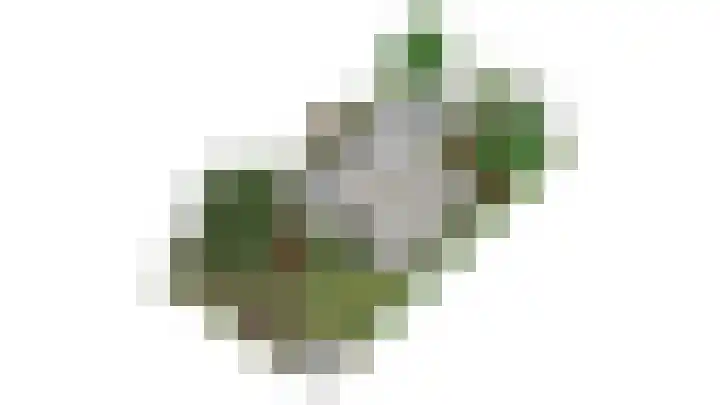 Wildbaan 9 Leersum thumbnail 87