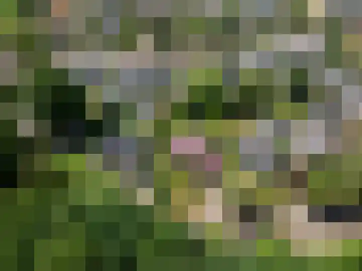 Wildbaan 9 Leersum thumbnail 89