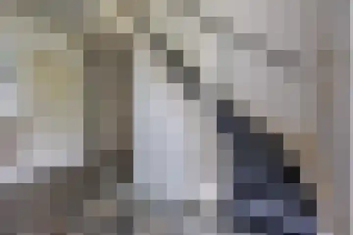 Wildbaan 9 Leersum thumbnail 9