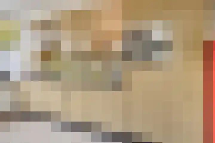 Wildbraak 51 Bavel thumbnail 12