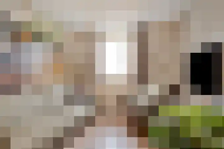 Wildbraak 51 Bavel thumbnail 19