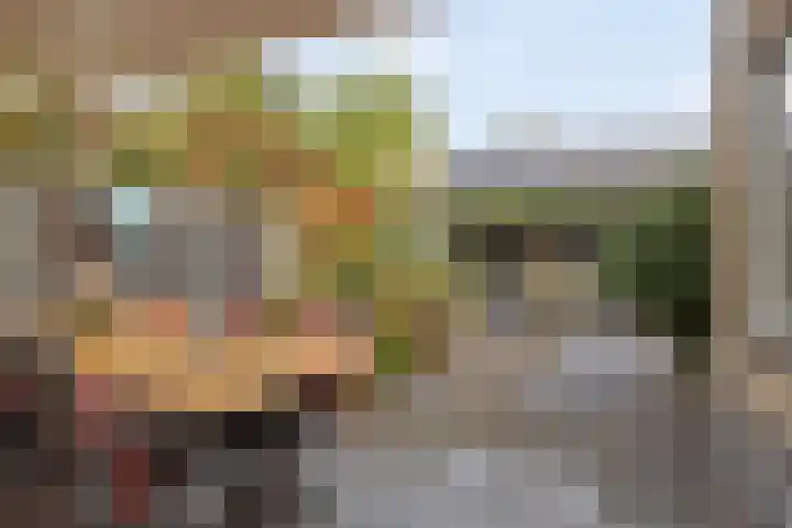 Wildbraak 51 Bavel thumbnail 25