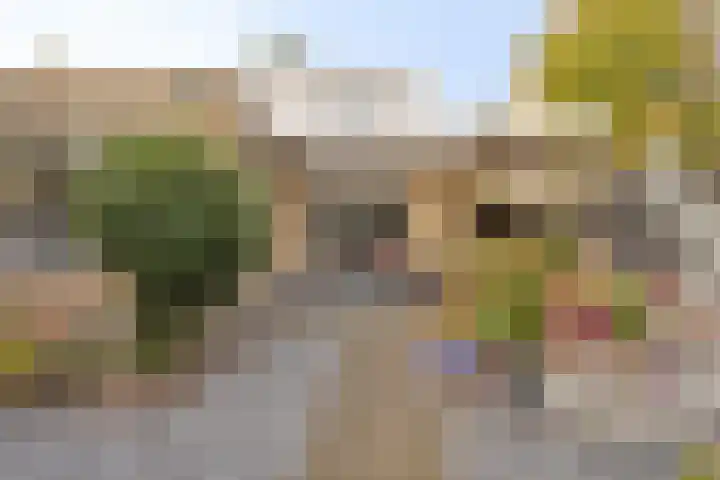 Wildbraak 51 Bavel thumbnail 27