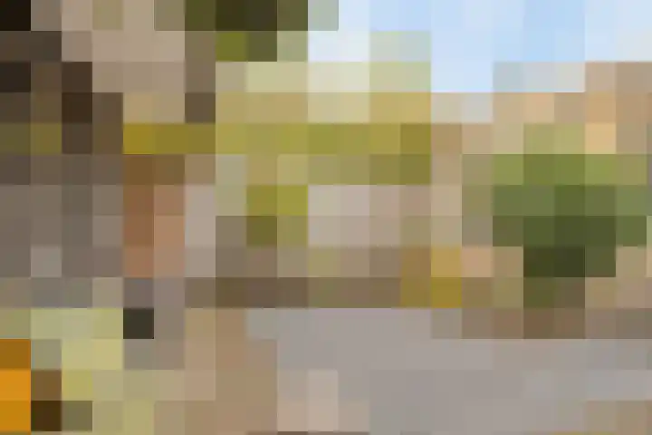 Wildbraak 51 Bavel thumbnail 28