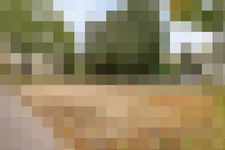 Wildbraak 51 Bavel thumbnail 31