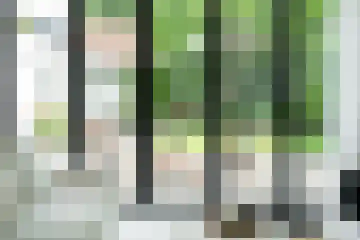 Wildbraak 55 Bavel thumbnail 10