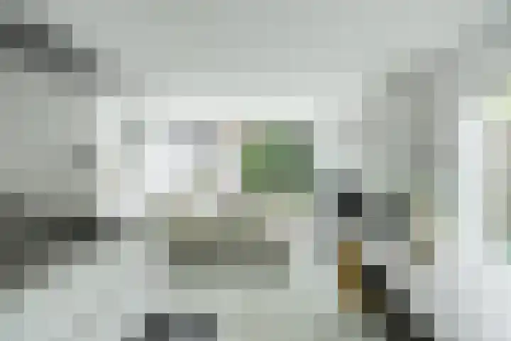 Wildbraak 55 Bavel thumbnail 11