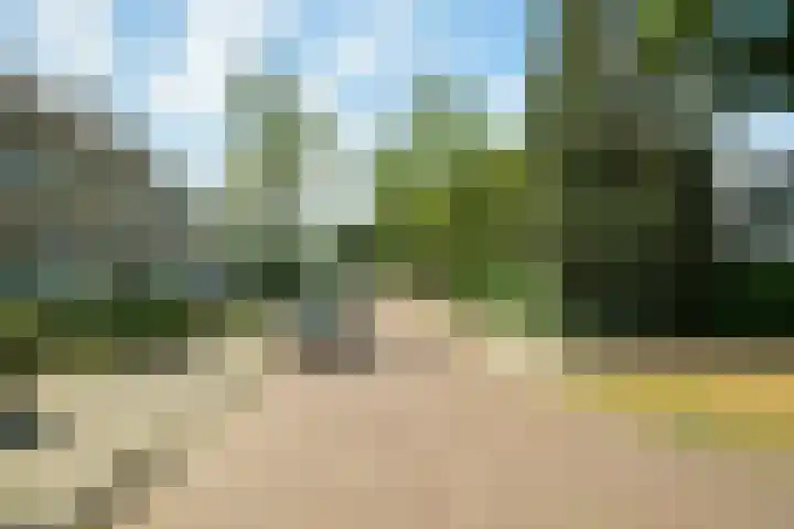 Wildbraak 55 Bavel thumbnail 39