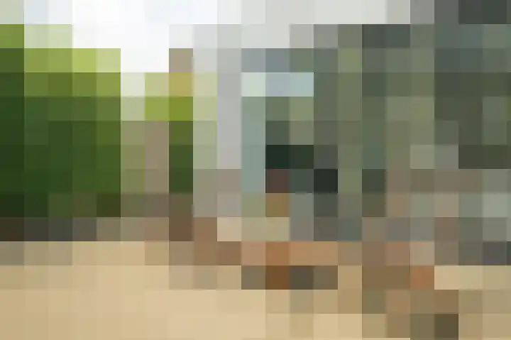 Wildbraak 55 Bavel thumbnail 40