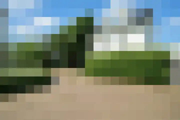 Wildbraak 55 Bavel thumbnail 42