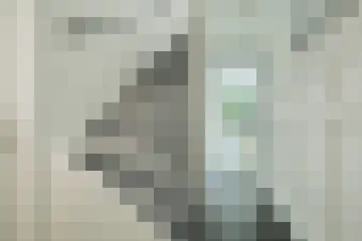 Wildbraak 55 Bavel thumbnail 5