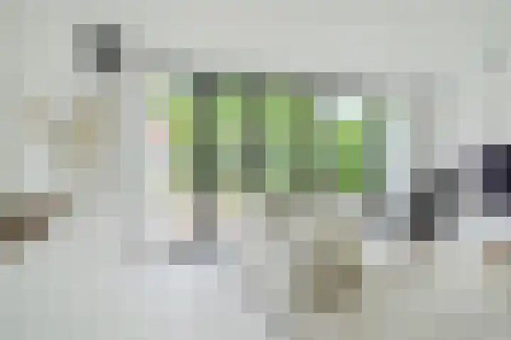 Wildbraak 55 Bavel thumbnail 8