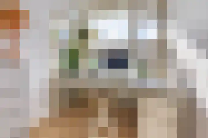 Wilddreef 94 Leiderdorp thumbnail 24