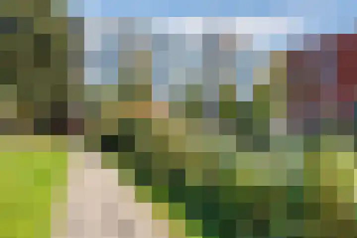 Wilddreef 94 Leiderdorp thumbnail 36