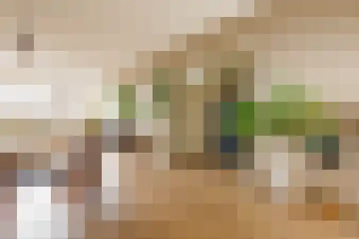 Wilddreef 94 Leiderdorp thumbnail 4
