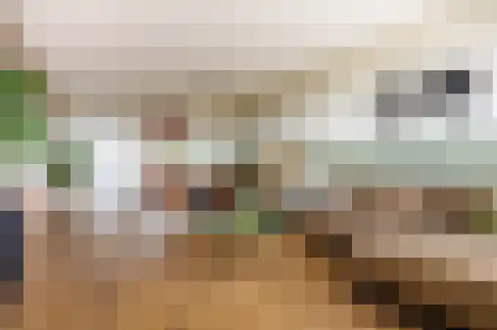 Wilddreef 94 Leiderdorp thumbnail 5