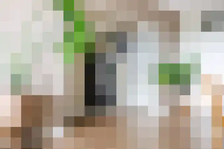 Wilddreef 94 Leiderdorp thumbnail 6
