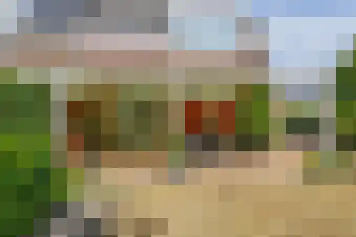 Wilde Wingerd 21 Helmond thumbnail 30
