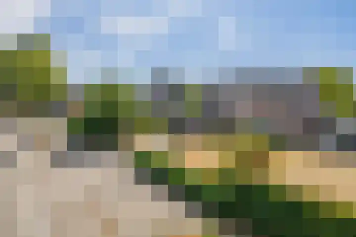 Wilde Wingerd 21 Helmond thumbnail 5