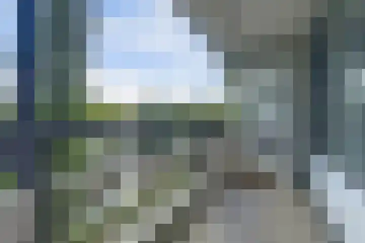Wilde Wingerdlaan 97 Gouda thumbnail 12