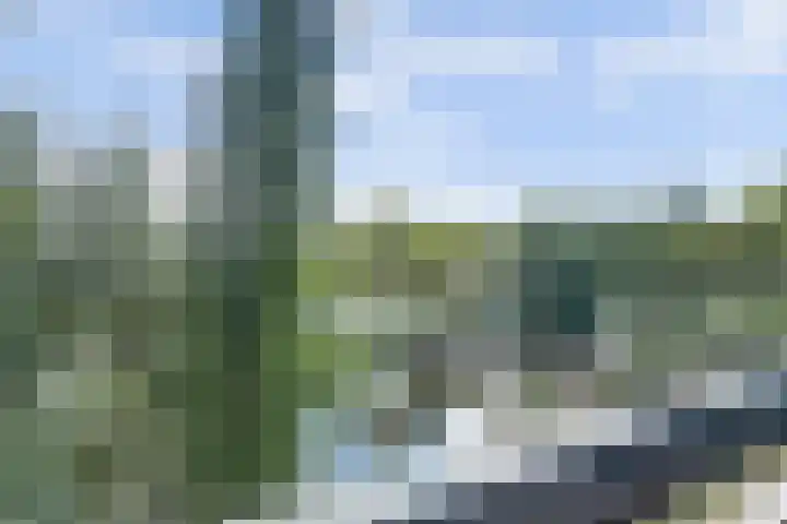 Wilde Wingerdlaan 97 Gouda thumbnail 13