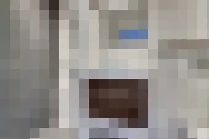 Wilde Wingerdlaan 97 Gouda thumbnail 23
