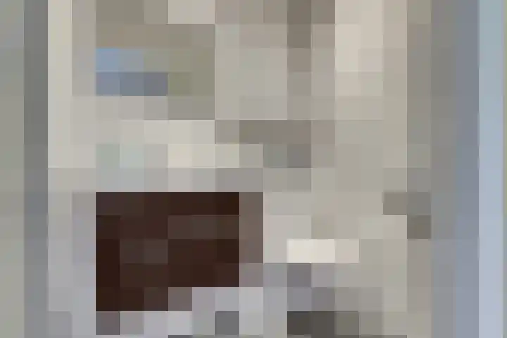 Wilde Wingerdlaan 97 Gouda thumbnail 24