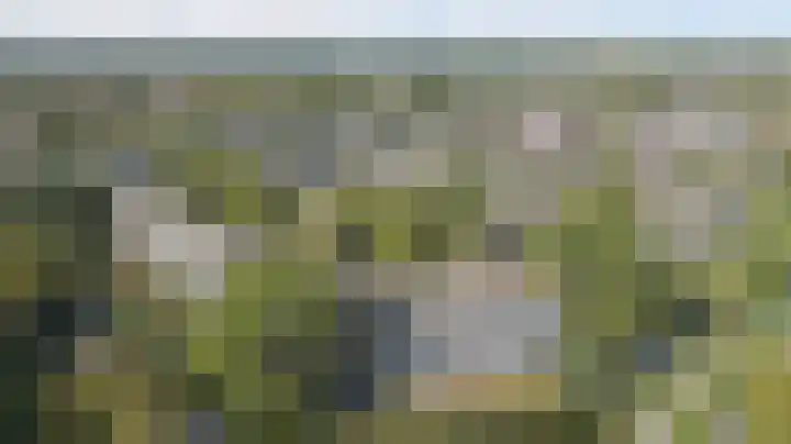 Wilde Wingerdlaan 97 Gouda thumbnail 33