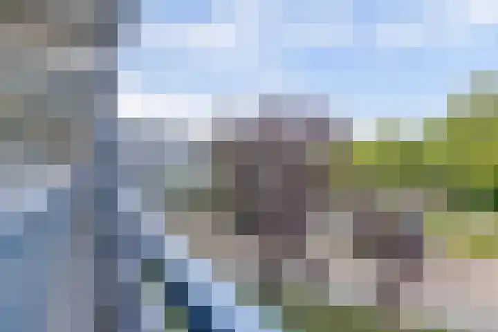 Wilde Wingerdlaan 97 Gouda thumbnail 5