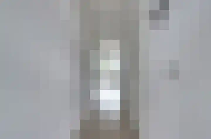 Wilde Wingerdlaan 97 Gouda thumbnail 8