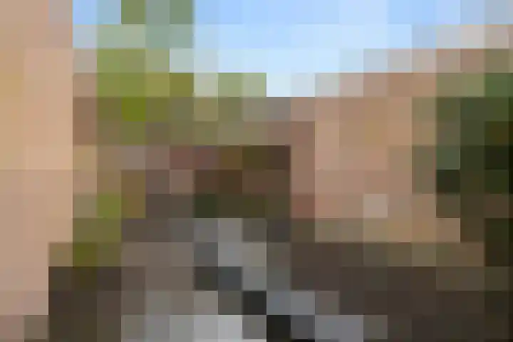 Wildekamp 46 Bennekom thumbnail 34