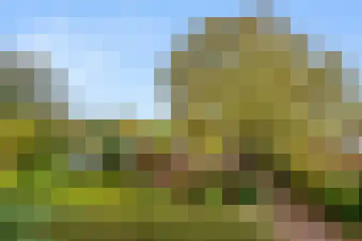 Wildekamp 46 Bennekom thumbnail 38