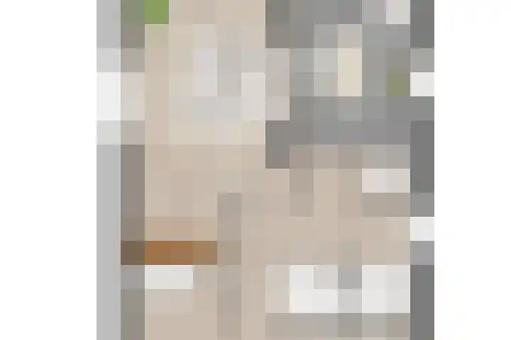 Wildeland 13 Strijen thumbnail 10