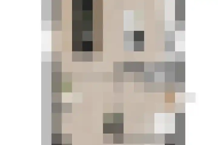 Wildeland 13 Strijen thumbnail 11
